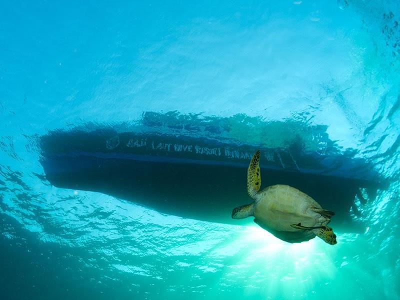 Raja Laut Dive Resort Bunaken Zewnętrze zdjęcie